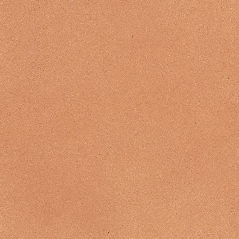 Aged Camel Full-Grain Leather Swatch
