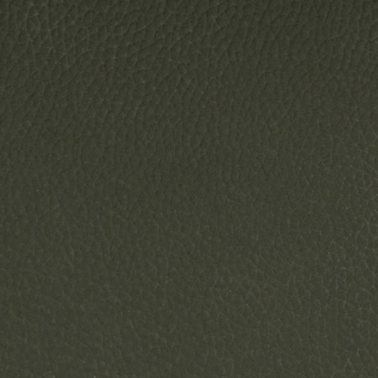 Forest Full-Grain Leather Swatch