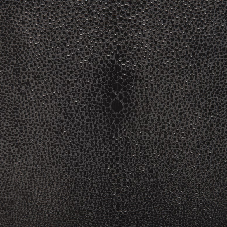 Black Realistic Faux Shagreen Swatch