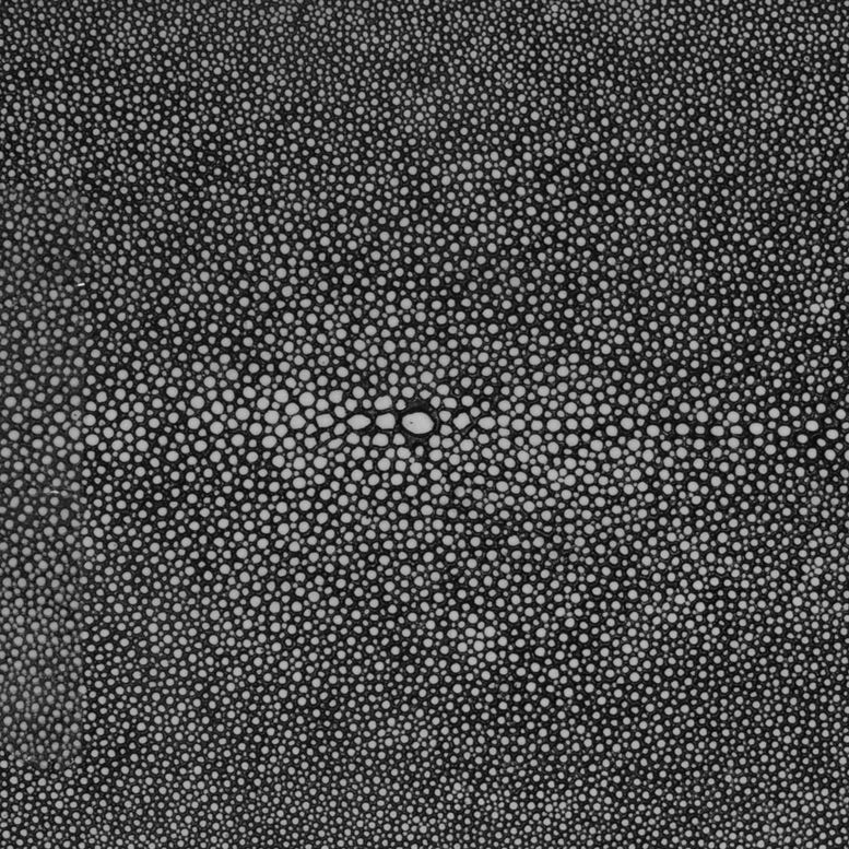 Cool Gray Realistic Faux Shagreen Swatch