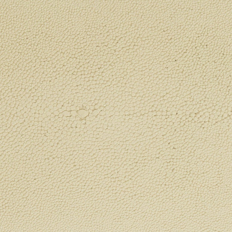 Ivory Realistic Faux Shagreen Swatch