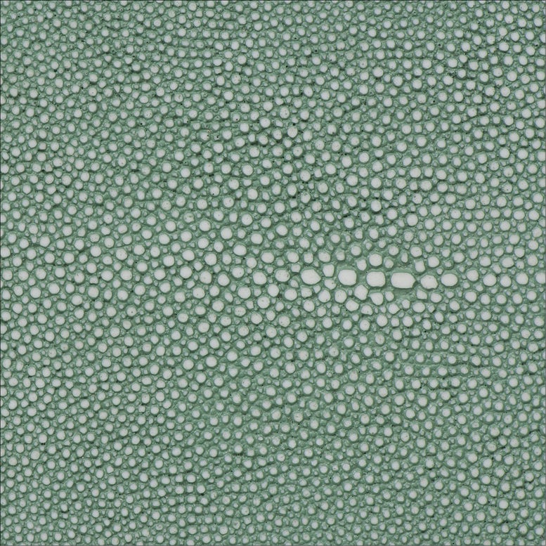 Sage Realistic Faux Shagreen Swatch