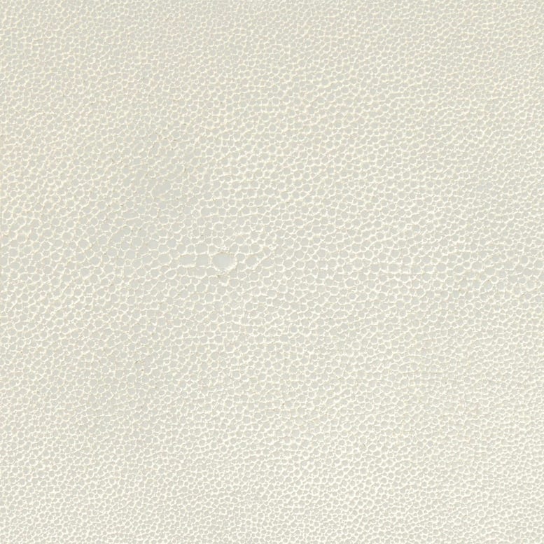 Snow Realistic Faux Shagreen Swatch