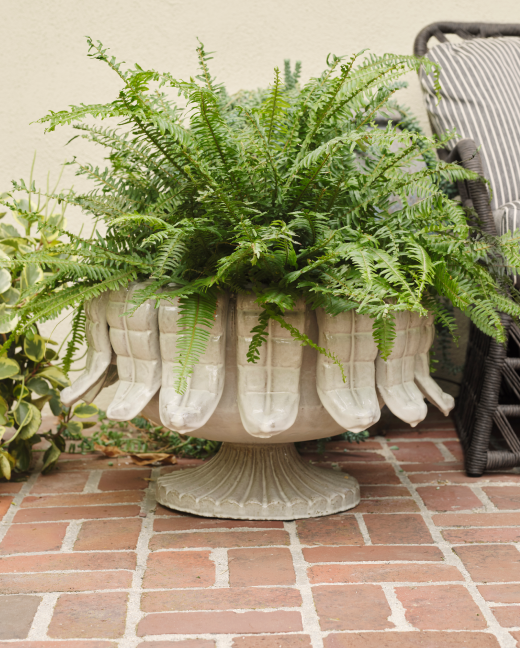 Shop Planters